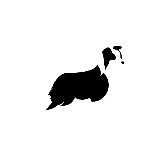 cropped-logo-2020-border2-base-escura.png