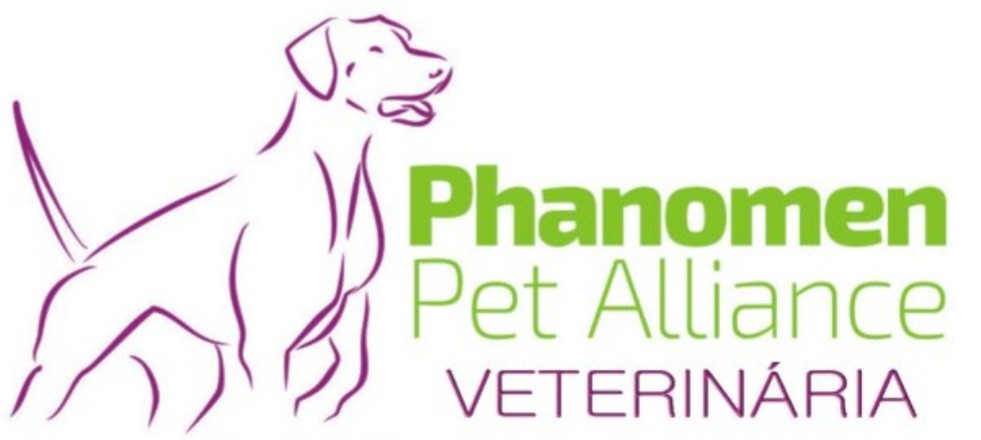 Phanomen